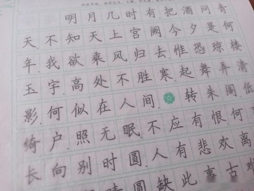 什么字帖适合初学者 容易学就是王道