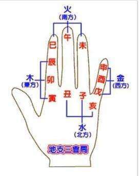 八字基础知识二 地支基础知识