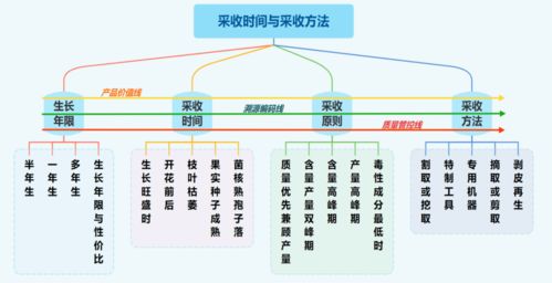 种出好药材,采收很关键