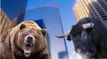 熊市有哪些特征 熊市中如何买卖股票