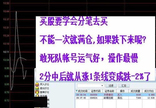 我想把我名下的股票赠送给别人，能办理不?能的话，办理的步骤，希望懂的给回答一下.