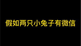 你永远都不知道小兔子会对你的枕头做出什么举动