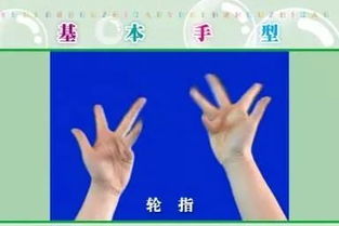幼儿园手指操基本手势,附视频 