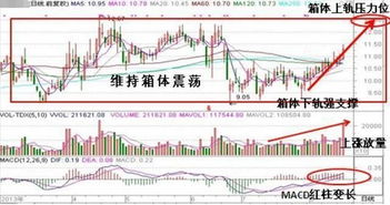 股票中箱体指什么