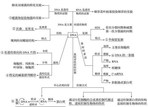 生物高考 一轮复习 遗传 变异与进化 遗传 专题