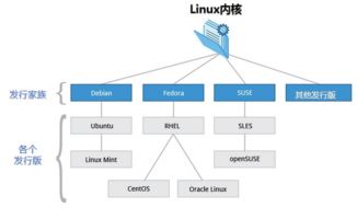 Linux系统分类,Linux系统概述