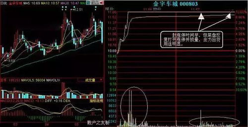 一只股票涨到一定程度出现下跌，怎么看出是庄家在回调还是出货