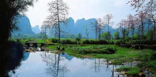 屏南花语湖：人间仙境，花的海洋