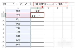 电子表格如何筛选出重复的项目 