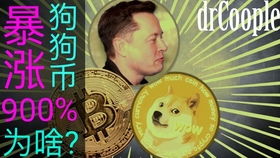 dogecoin狗狗币怎么拥有,狗币的持有法。