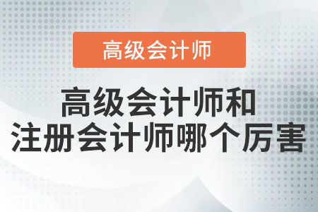 高级会计师和cpa的区别,注册会计师与高级会计师有什么区别???