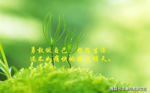 春天励志七绝—荷塘春景七绝诗？