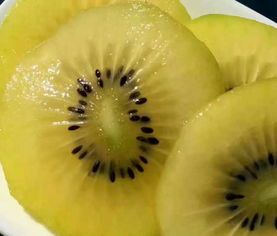 奇异果长什么样子,猕猴桃，金果和绿果，在营养上有什么区别