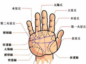 手相看你能否成土豪