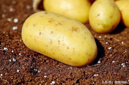 白心土豆 黄心土豆有啥区别 怎么吃才是最健康 