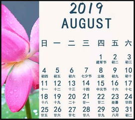 2019年7月18号生肖运势狗不稳,鸡大吉 