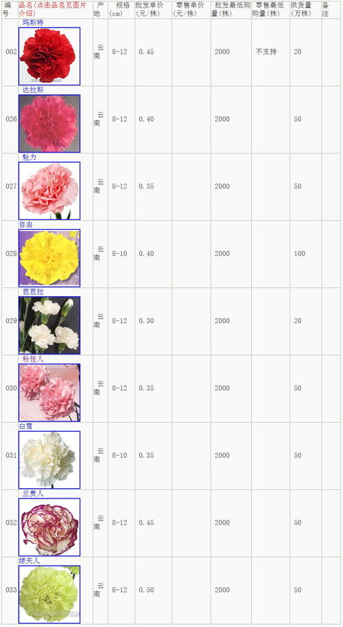 康乃馨10月份该怎么养, 光照管理