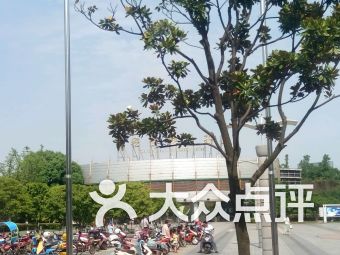 勐腊全县免费停车场,请问中科院植物园有停车场吗