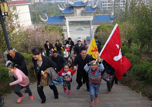 龙岗幼儿园开展亲子登山活动 