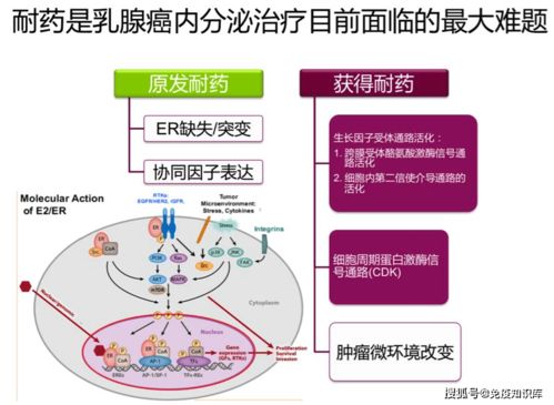 乳腺癌接受内分泌治疗后,副作用怎么缓解呢