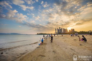 深圳湾也有沙滩了 免费开放,很少人知道 