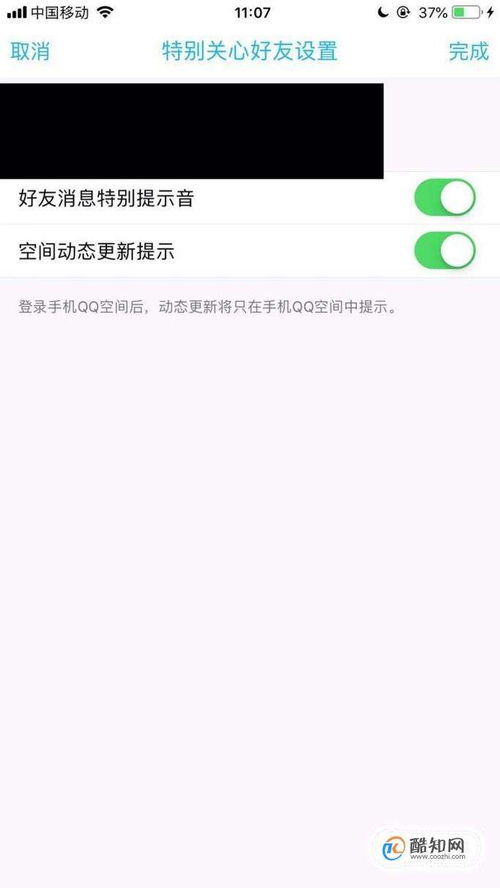 qq特别关心查询(qq怎么看谁特别关心我)