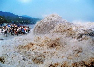 写钱塘江大潮最著名的诗词,下个月去观潮的时候可以感受一番