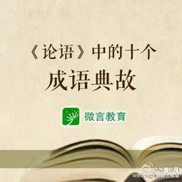 教育名言片段赏析摘抄—最经典的蒙台梭利教育名言是哪句？