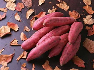 玛莎莉红薯品种介绍,澳洲紫白红薯与玛莎莉红薯区别？