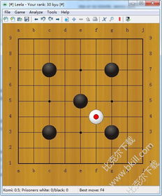 leela丽拉围棋中文版下载