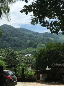 灵隐飞来峰 成人票 不含灵隐寺门票,7天有效 杭州飞来峰门票和景区买的价格一样,就是不 驴妈妈点评 