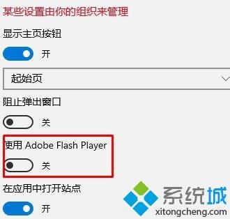 如何解决win10的网页动画播放器问题