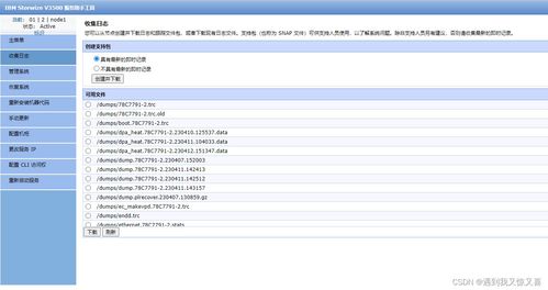 ibm 存储 控制器坏了如何更换