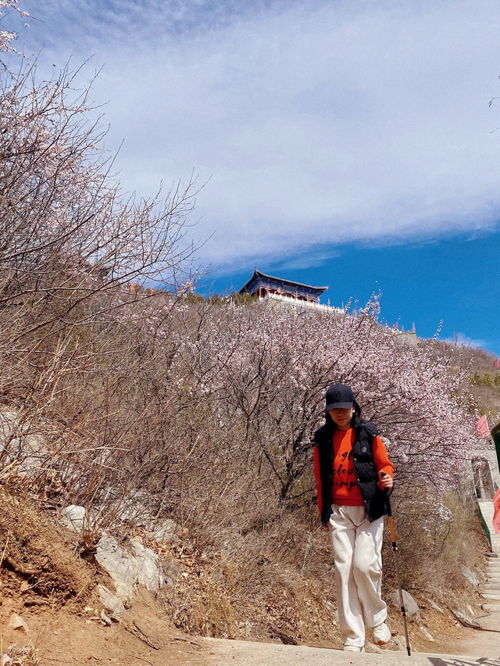 我找到了全北京最好玩的山地滑车,登山徒步 