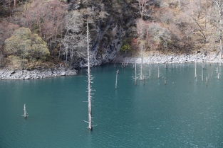 一念起,万水千山 