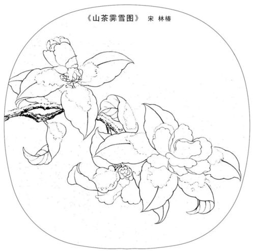 宋画白描线稿很难造型 其实画法很简单,一般画家们都这样画