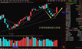 买了房地产的股票，怎么看啊？是看上证指数还是地产指数