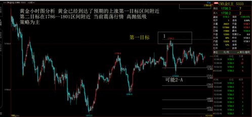 数字黄金比特币行情分析,数字黄金比特币行情分析：2024年6月市场动态?