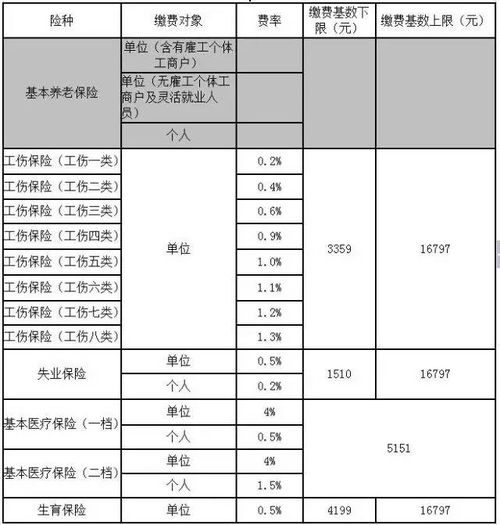 广州企业社保怎么缴费