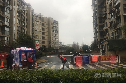 疫区日记 杭州一个封闭小区的14天 