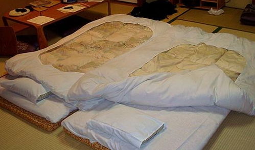 真相了 日本人为何有床不睡,却选择睡地板 日本美女透露其秘密