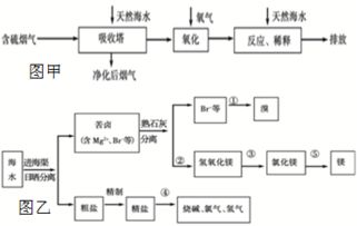 wld世界币注册流程