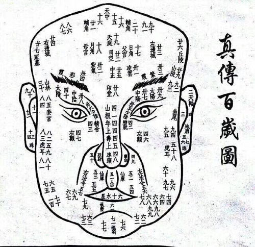 面相流年之39.40岁看少阳,少阴