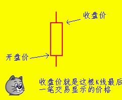 要学那些有用的东西才能学会炒股 