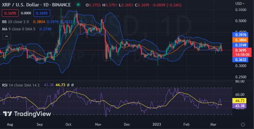 xrp瑞波币最新行情分析,XRP瑞波币的近况 xrp瑞波币最新行情分析,XRP瑞波币的近况 生态