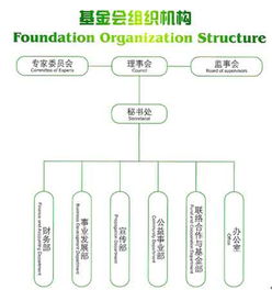 基金会组织机构图