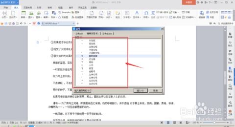 WPS word文档中怎么加入特殊符号