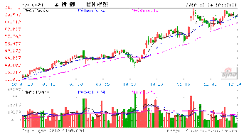 金螳螂定向增发