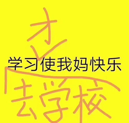 神兽归笼,爸妈可高兴了,假期的苦终于熬到头了