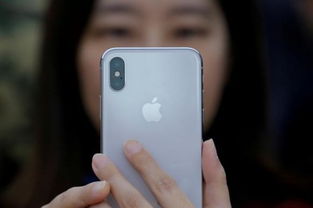 入手10天,这就是iPhone X的拍照效果